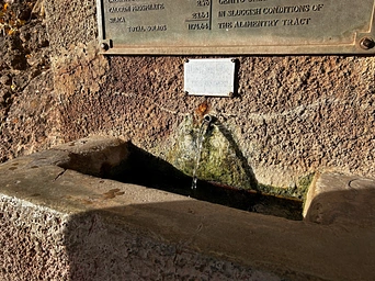 Kidney Springs