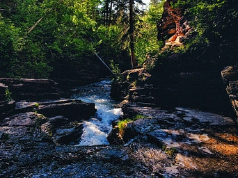 Devil's Bathtub in the Black Hills up a trail in Spearfish Canyon. Waterfall and trees in view.