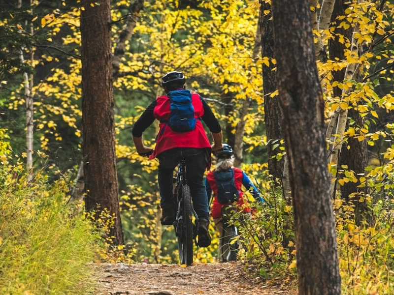 Bicyclists on a trail in the Black Hills of South Dakota for a blog about things to do.