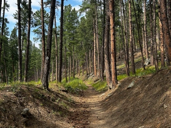 A section along the Flume Trail at Sheridan Lake