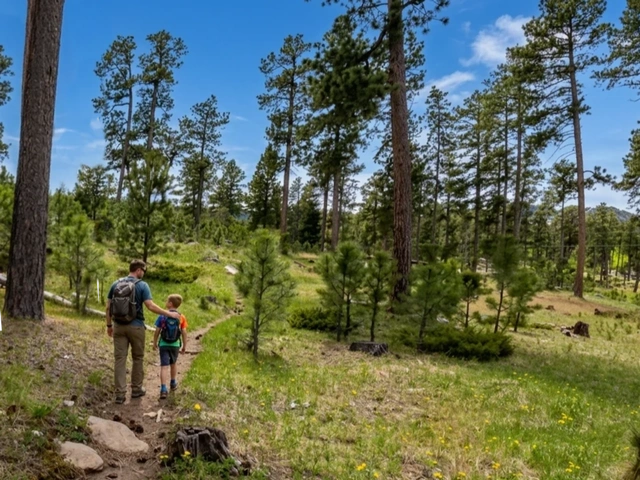 A man and his son hiking the Big Pine Trail in the Black Hills of South Dakota.