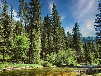Near Bridal Veil Falls in Spearfish Canyon - Black Hills, SD