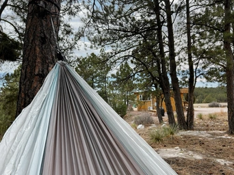 Hammock in Ponderosa pines in the Black Hills of South Dakota at Highland Meadows Resort.