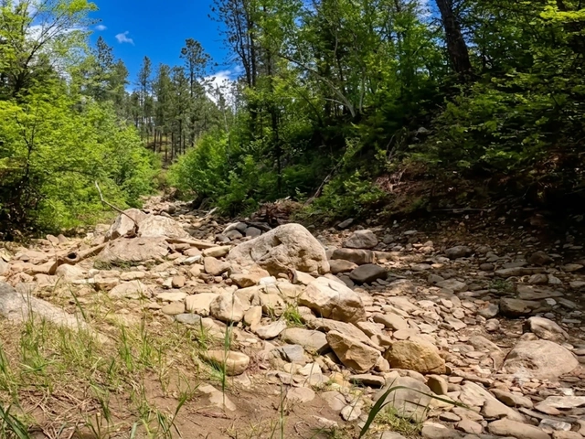 Calamity Canyon Jeeping trail in the Black Hills of South Dakota.