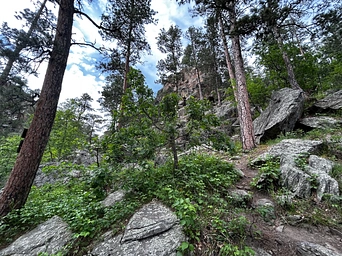 The trail and landscape on the way to Hippie Hole swimming hole in the Black Hills. Perfect tourist attraction.