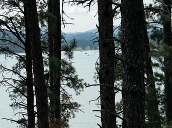 Peaking through the woods from the Flume Trail at Sheridan Lake