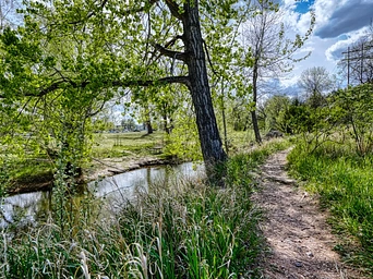 Trail along Rapid Creek in Hanson-Larsen Memorial Park. Bike and hiking path.