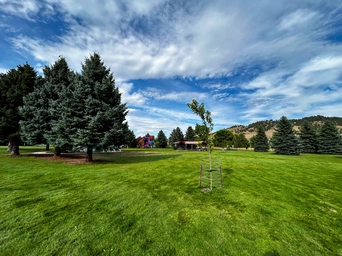 Evnas Park lawn and trees with blue skies. Pavilian and picnic area in the background.