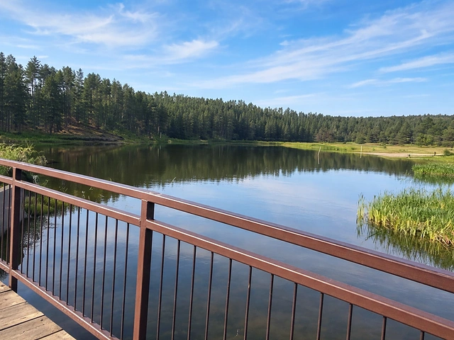 Roubaix Lake in the Black Hills, South Dakota picture from the bridge with pines in the background.