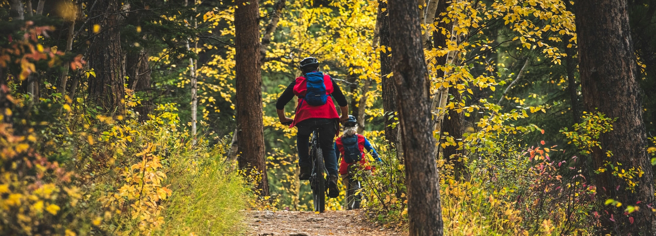 Blog Post Cover: Things to do in the Black Hills. Mountain biking the Mickelson Trail. Rails to trails system.