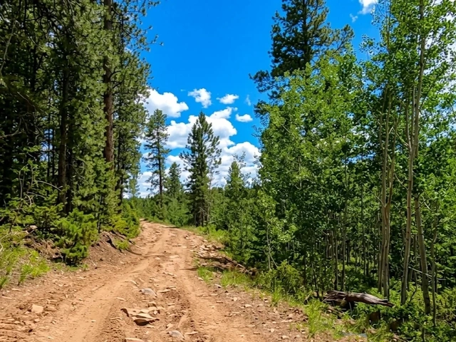 Ditch Creek Motorized Trailhead for UTVs, 4-wheelers and off roading in the Black Hills, South Dakota.