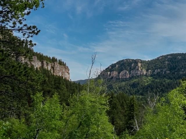 76 hiking trail in the Black Hills of South Dakota.