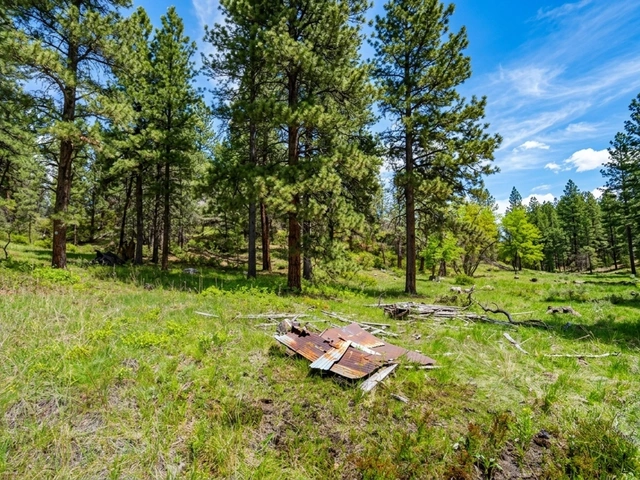 Bear Gulch ghost town remnants in Deadwood South Dakota. Actual photo enhanced by AI.