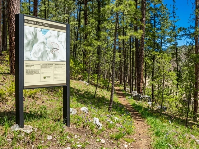 Badger Clark hiking trailhead sign in Custer, South Dakota. Pine trees and trail by sign.