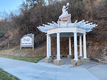 Kidney Springs
