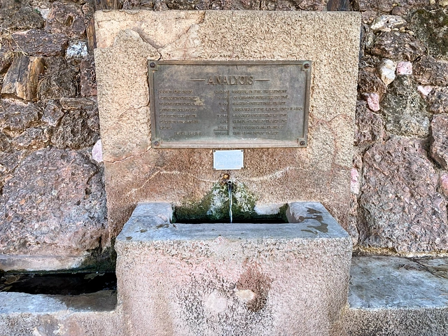 Kidney Springs