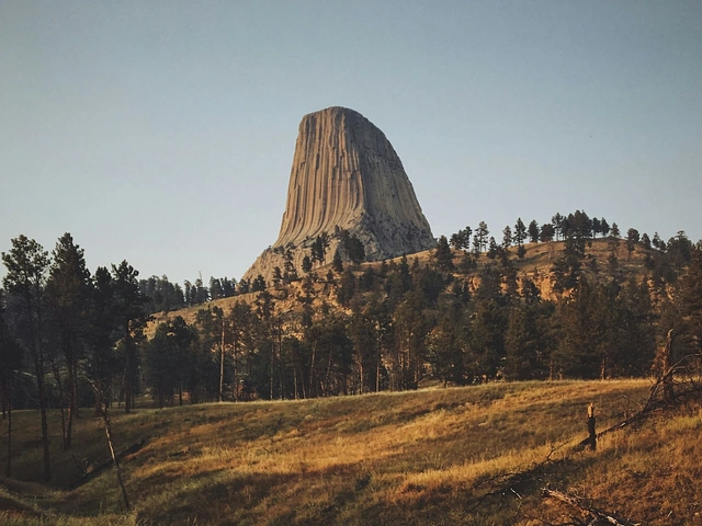 Devils Tower in Wyoming Black Hills from a distance. Trees, grasses, clear blue sky.