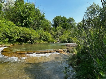 Wading area above Cascade Falls in the mineral springs river area.