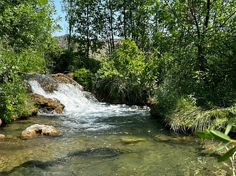 Smaller waterfall above Cascade Falls in Hot Springs, SD. Surrounded by trees.
