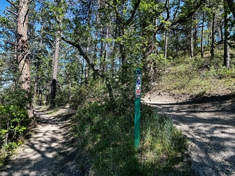 Singletrack mountain biking trail split in Skyline Wilderness Area in the Black Hills, SD.