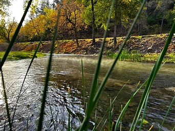 Fall River in autumn with steam rising from the warm mineral water. Alongside the Freedom Trail in Hot Springs, SD.