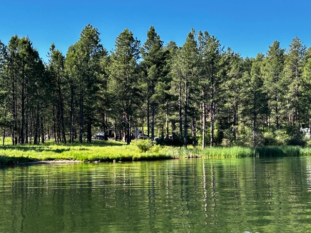 Sheridan Lake Campground near Rapid City in the Black Hills as seen from the water looking back at the beach area.