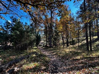 Legion Lake Trail in the fall with autumn leaves and blue skies. South Dakota hiking trail.