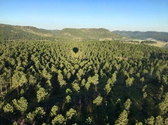 Black Hills Balloons