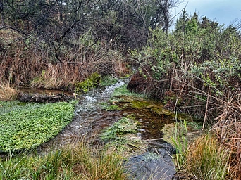 Cascade Springs - mineral springs - near Hot Springs, South Dakota.