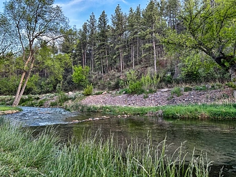 Fall River as it runs alongside the Freedom Trail walking path in Hot Springs, South Dakota. Pines, grasses, swimming hole.