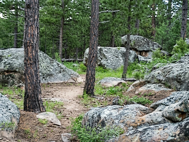 Rocky portion along the Bone Collector Trail in Rapid City - Singletrack biking trailhead.