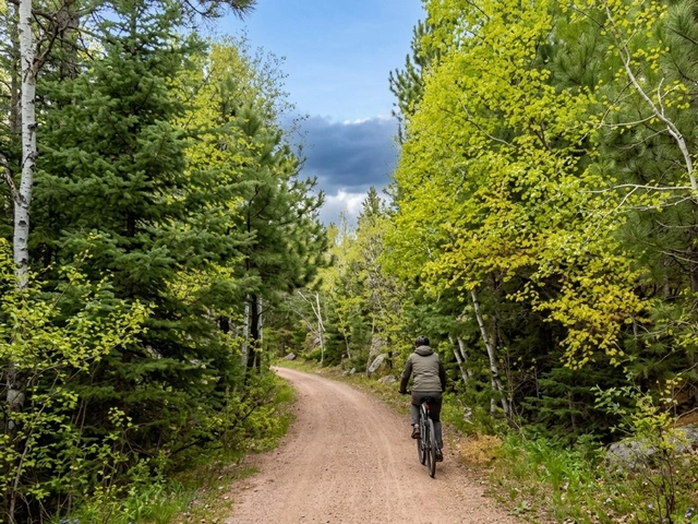 Man on a bicycle on the Burlington Trail in Hill City, SD. Part of the Mickelson rails to trails system.