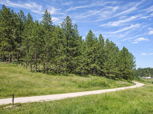 Mickelson Trail: White Elephant Trailhead