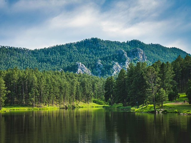 Lakota Lake in Custer State Park - View of rocky outcroppings, water, and ponderosa pines.