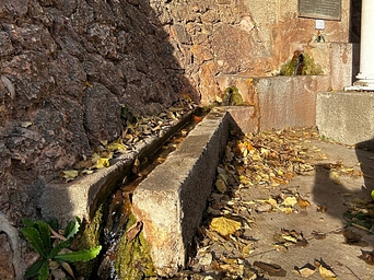 Kidney Springs