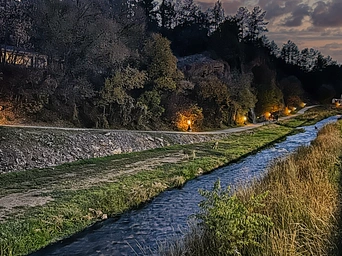 Deer grazing beside the Freedom Trail with Fall River mineral spring and lights along the pathway.