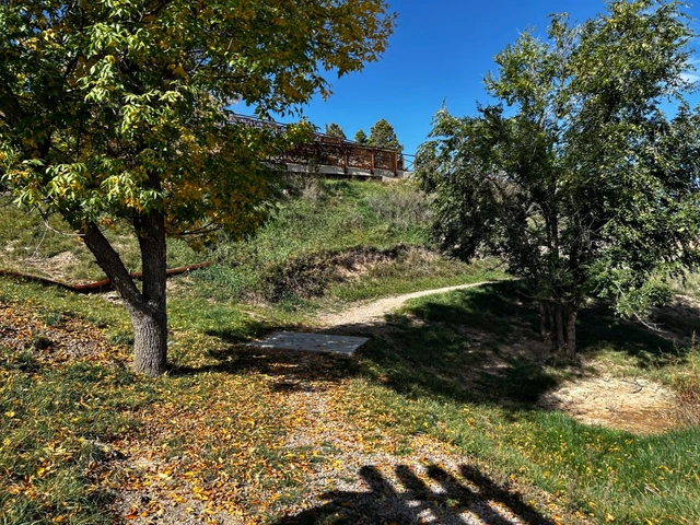 Single track biking or hiking trail in Rapid City's Skyline Wilderness are.