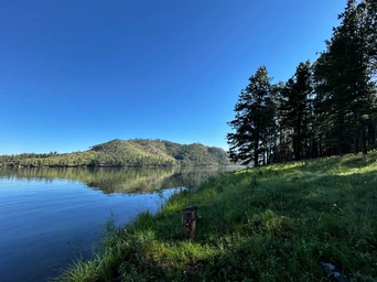 Sheridan lLake in Hill City South Dakota as seen from a grassy shore with pine trees and reflections on the water.