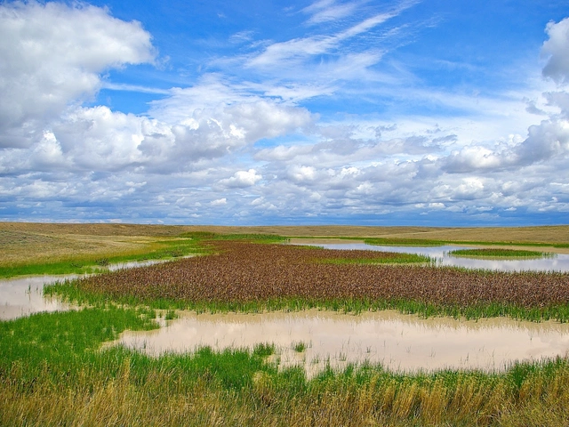 Buffalo Gap Grasslands National Park in South Dakota.