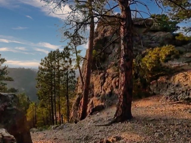 The overlook on Lover's Leap Trail in Custer State Park, South Dakota. Pines, rock formation, and blue skies.
