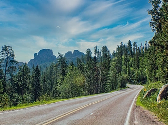 Scenic landscape of Needles Highway in Custer State park. Ponderosa pines with Cathedral Spires on the horizon.