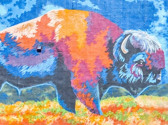 Bison mural by Maria March on River Street in Hot Springs, South Dakota.
