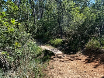 Bridge along Petrified Forest Trailhead in the Skyline Wilderness Area in Rapid City, SD.