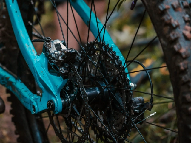 Mountain bike on a singletrack trail in the Black Hills, South Dakota.