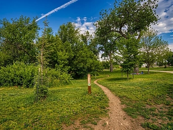 All American Trail single track for bikes in Founders Park in Rapid City, South Dakota.