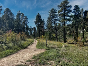 The beginning of Buzzard's Roost Trail in the Black Hills, SD.
