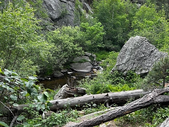 The trail to Hippie Hole in the Black Hills. Moderately difficult hiking trail with gorgeous scenery.