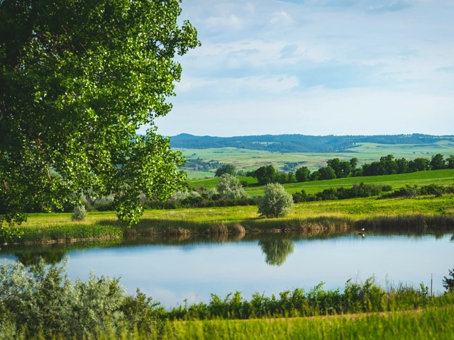 Lower Mirror Lake in Spearfish South Dakota. Lined with grasses and trees with the hills in the distance.