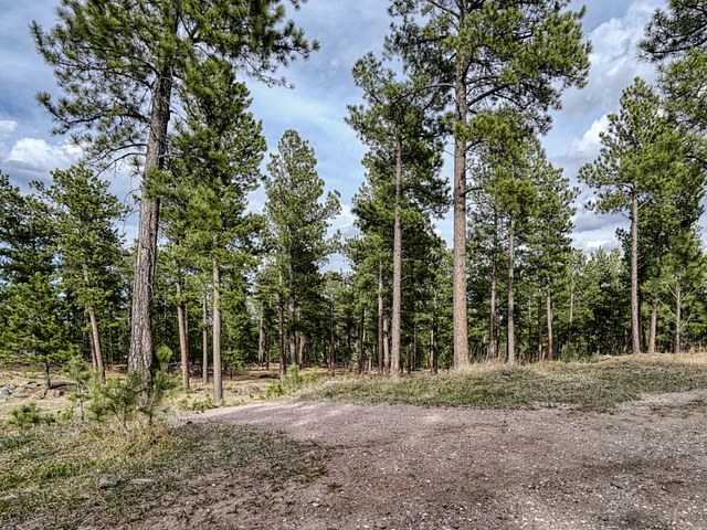 Pageant Hill trailhead inside Big Rock Park in Custer, South Dakota.