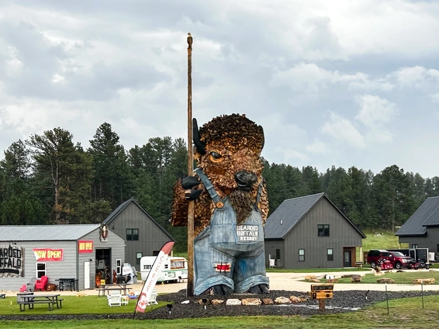 Bo the Buffalo, 37' tall roadside attraction, carved by Dahl Chainsaw Arts - located in Custer, South Dakota.